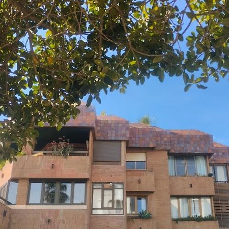 0272 - La Pergola Apartment Platja de Larenal Ngoại thất bức ảnh